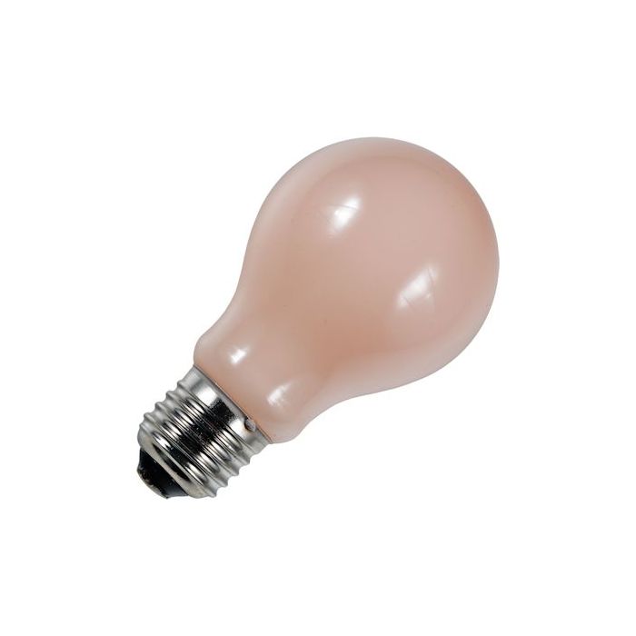 stopverf industrie lade Al 110 jaar uw lampen & verlichtingsspecialist Led Standaard Flame 1900K.  E27 Led lamp Filament Led Opaal A60x105 Verbruik: 4.0 Watt Vervangt: 25 Watt  250 lumen Fitting: E27 Grote Fitting Kleurtemperatuur: 1900K.
