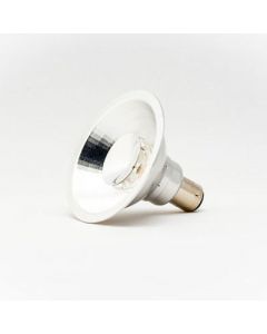 Vintage Led Light AR70 lamp 8 watt 10gr.                    