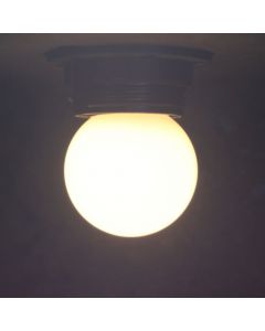 EGB Gekleurde LED Lamp Kogel E27 WarmWit                    