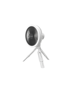 NEF10 White