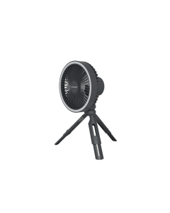 NEF10 Gray