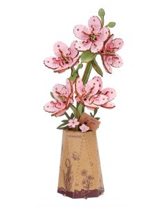 Sakura  (Kersenbloesem)             