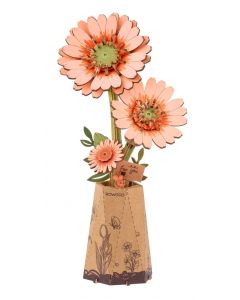 Licht Oranje Gerbera