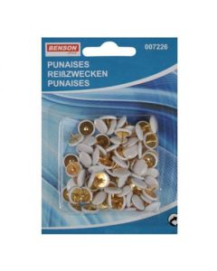 Punaises 80 stuks                                           